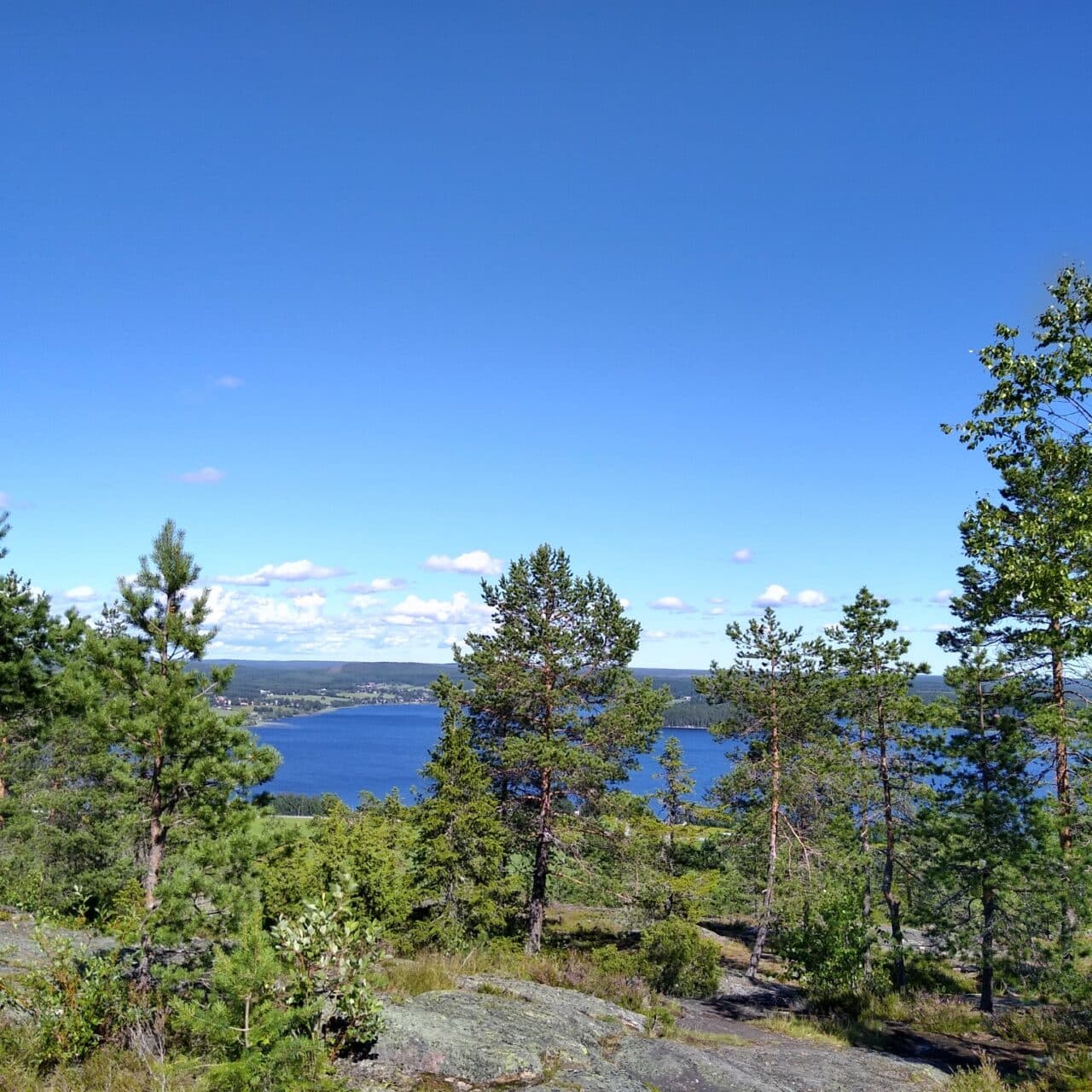 Tavelsjöberget